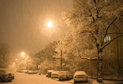 Last Night Snowfall