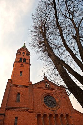 Tall Tree & Tall Tower