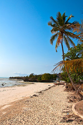 Beach In Jambiani