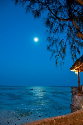 Zanzibar Moon