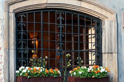 Window With Flowers And Grating