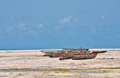 Dhows At Low Tide