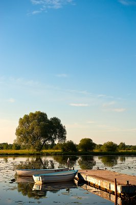 An Oxbow Of Narew River