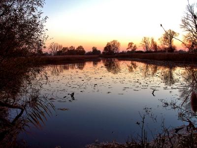 Autumn Sunset