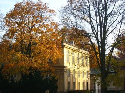 Wilanow - Palace