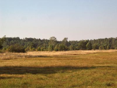 Mazowsze Landscape