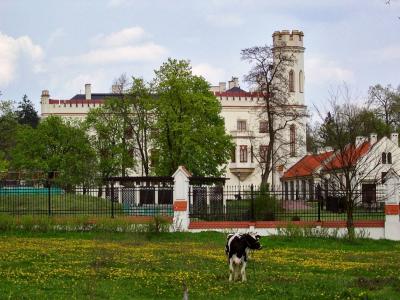 Palace In Stara Wies