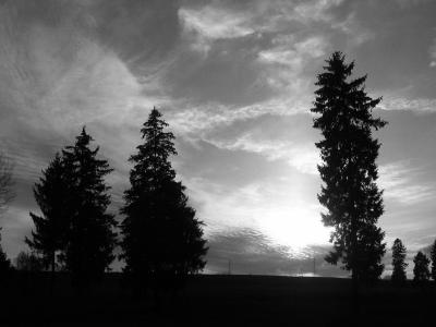 g3/62/511062/3/55915654.IMG_4729_Zachod.jpg