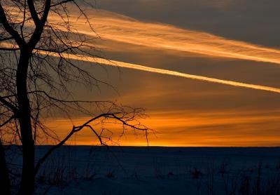 Lines In The Sky