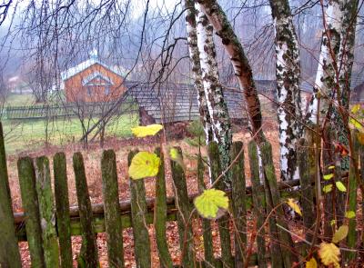 Autumn Fenced In