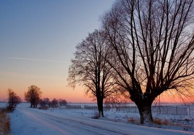 Frosty Road In Pink