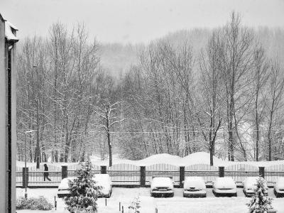 Snowy Street