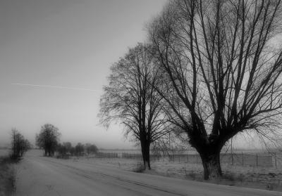 Winter Road