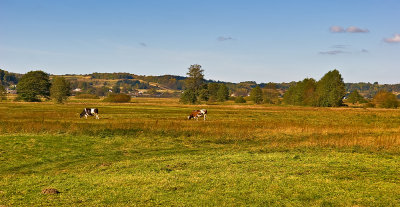 Landscape Near Zurawnica