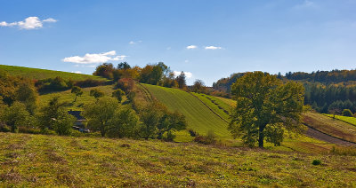 Mild Hills Near Obrocz
