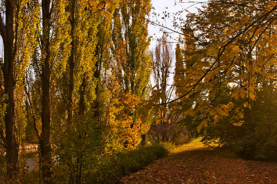 Walking On Autumn Leaves