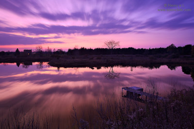 Pond under twilight