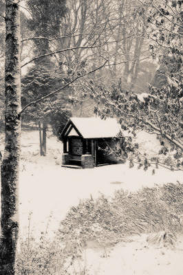 Winter Wonderland - Williamsons Park, Lancaster