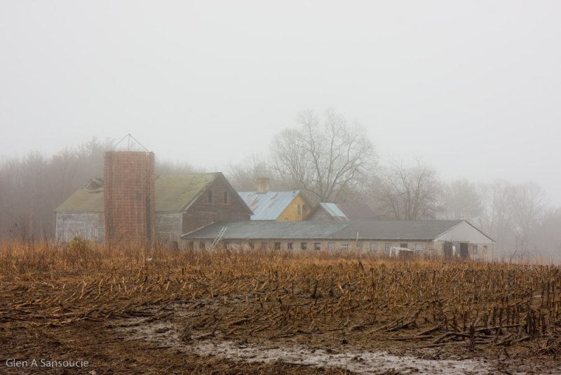 Day 092 - Farm in the mist