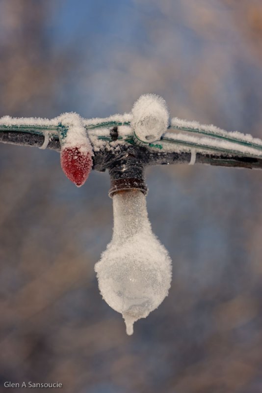 Day 21 - Frosty Light