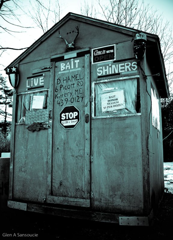 Day 53 - The Bait Shop