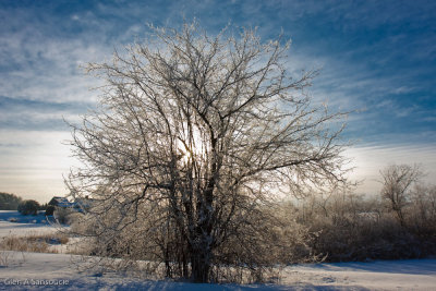 g3/62/582862/3/121319175.cTkXNXw7.jpg