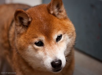 g3/62/582862/3/124450813.hH0gs6sx.jpg