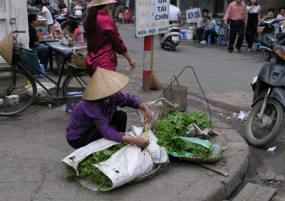 selling leaves
