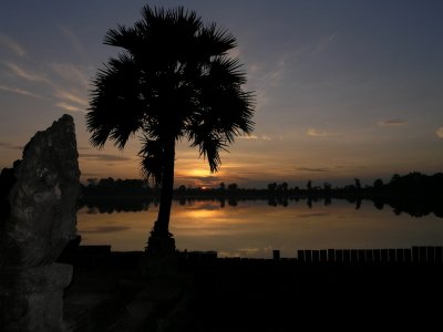Sra Srang with palm tree