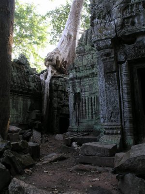 Ta Prohm