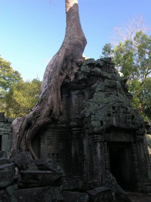 Ta Prohm