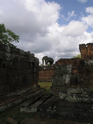 Elephant at Eastern Mebon