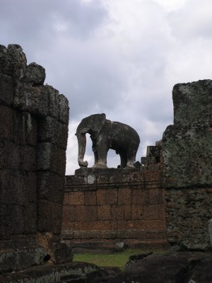 closeup of elephant