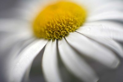 Aster @f1.2 PK-13+5D