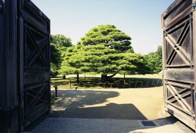 Garden entrance in Nijō-castle Reala