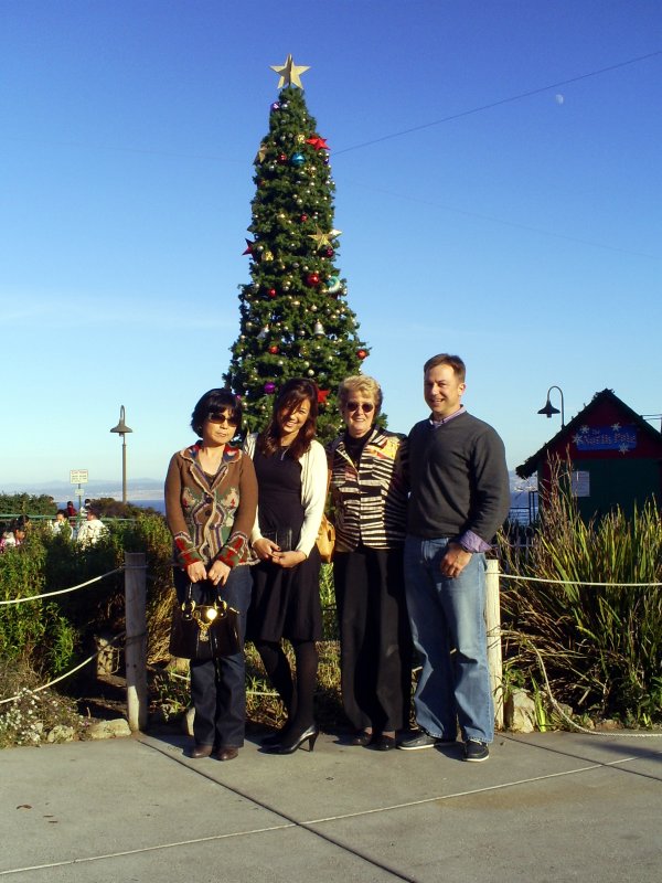 Cannery Row Christmas Tree