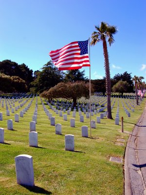 Golden Gate US Nationial Cemetary 7
