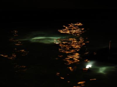 Some Sony DSC-V3 pics