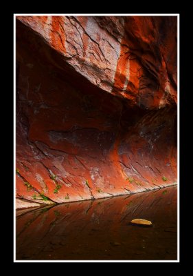 Red Rock Envy