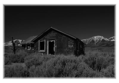 g3/62/657162/3/59090575.UntitledGrayscale01edit.jpg