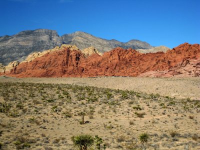 Five Colors.jpg