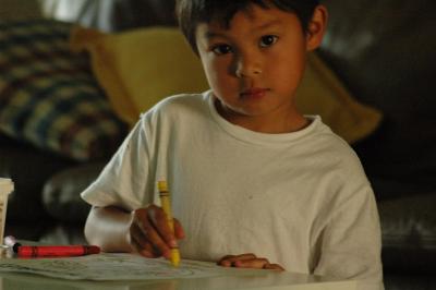 Growing, Playing and Learning...