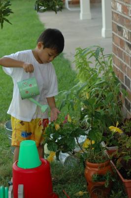 Growing, Playing and Learning...