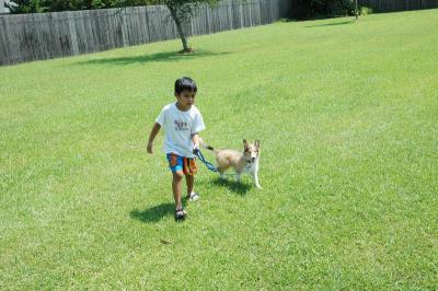A Boy and His Dog...