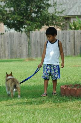A Boy and His Dog...