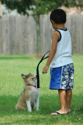 A Boy and His Dog...