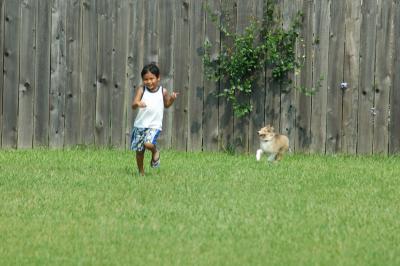 A Boy and His Dog...