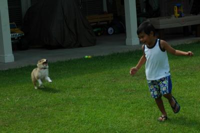 A Boy and His Dog...
