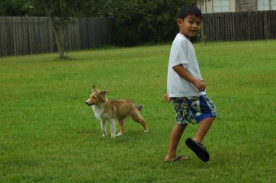 A Boy and His Dog...