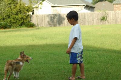 A Boy and His Dog...